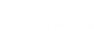 groupexlogo