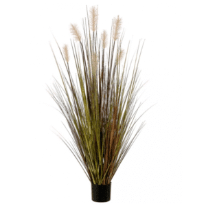 2706052 herbe de pampas bourgogne 60po 01.png