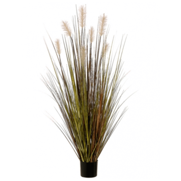 2706052 herbe de pampas bourgogne 60po 01.png