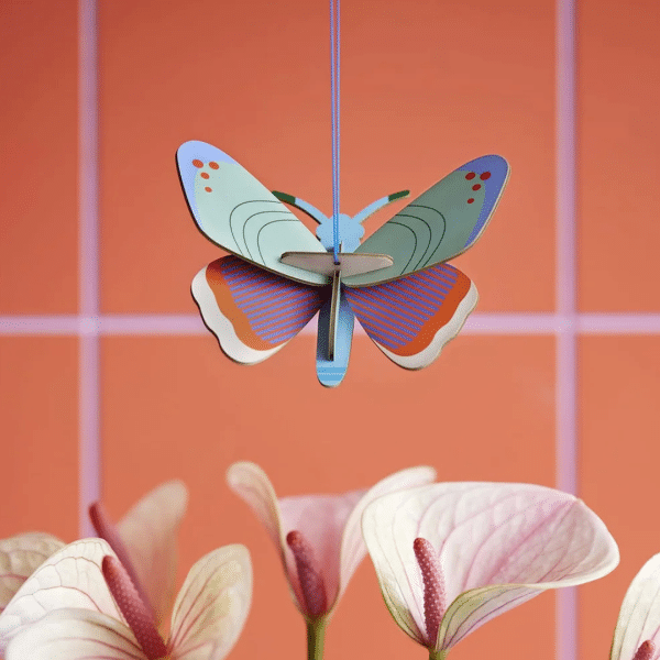 2839027 papillon a pois 01.png