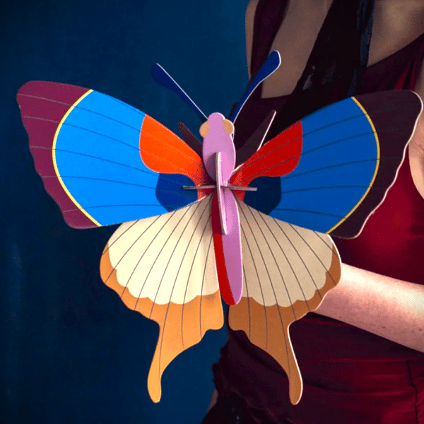 2839033 papillon multicolore 02.png