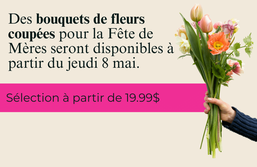 fleurs