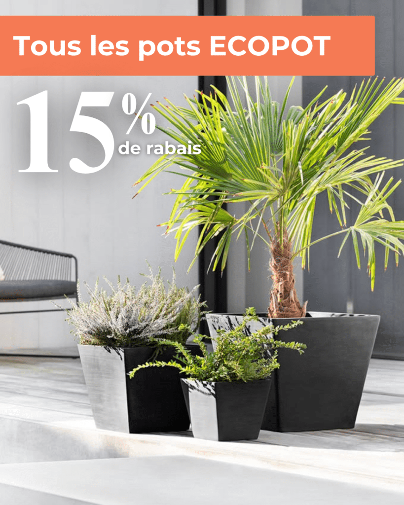 ecopot